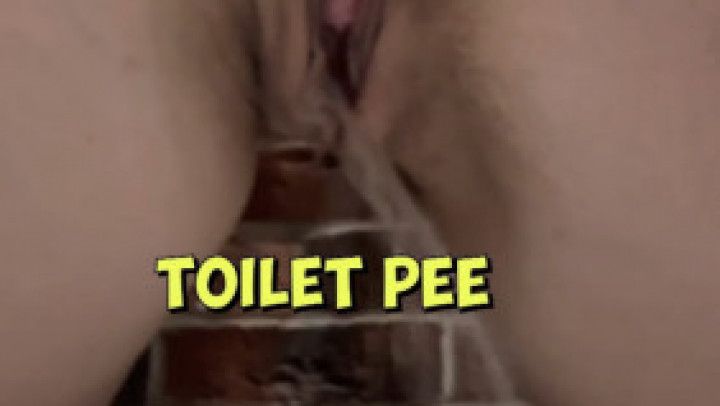 Peeing in the toilet and gaping my wet pussy