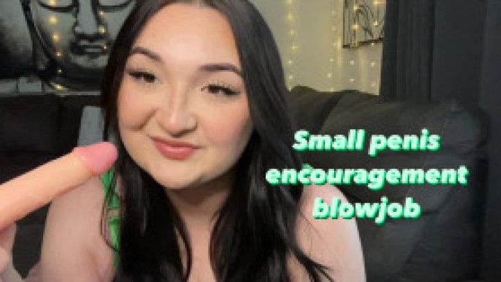 Small penis encouragement blowjob