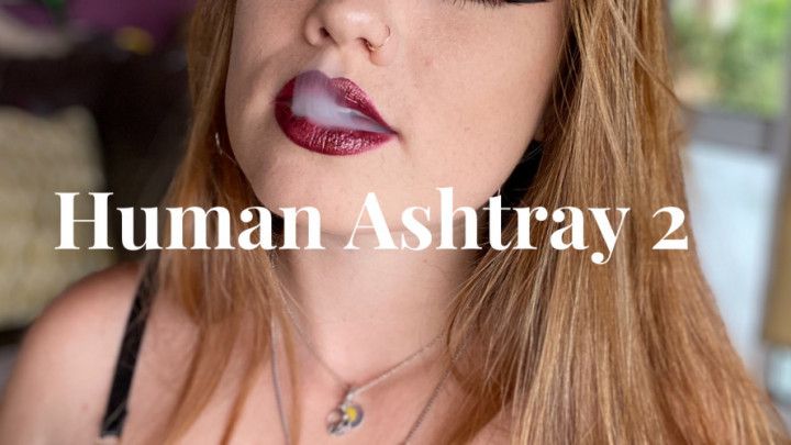 Human Ashtray 2