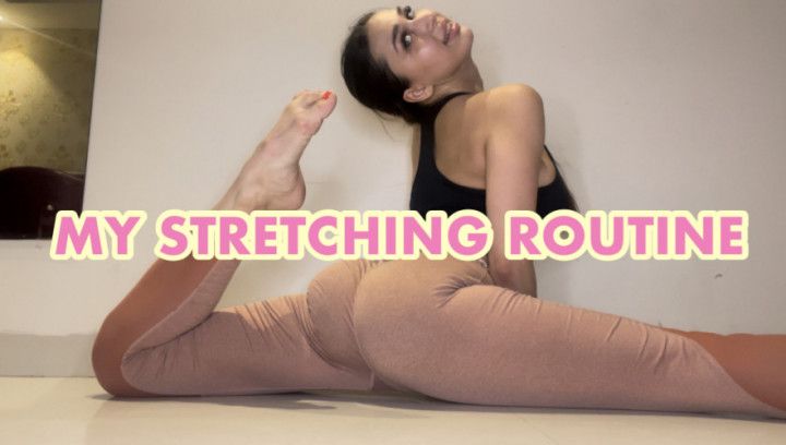 Stretching Routine