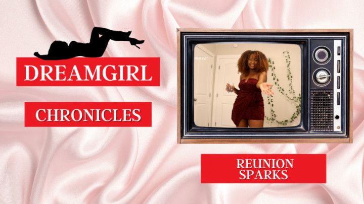 Dreamgirl Chronicles: Reunion Sparks