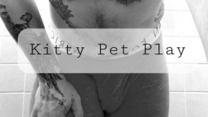 Kitty Pet Play