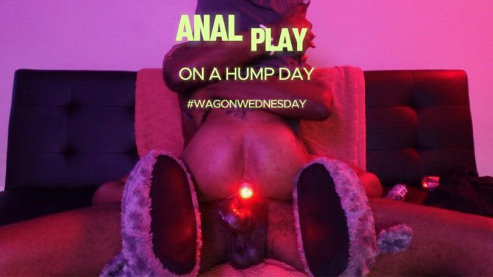 Our Hump Day tribute | Anal stretching w/ Sir