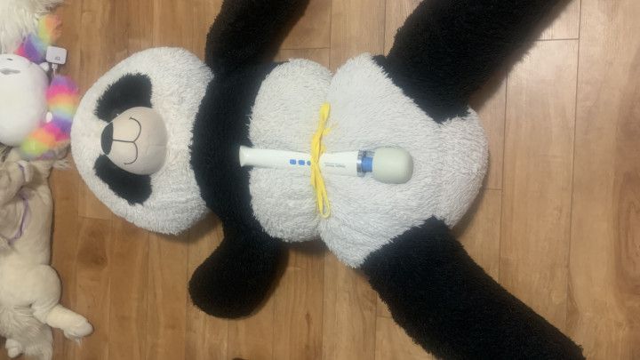 Humping plushie with hitachi tied to it