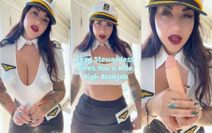 Sexy Stewardess Gives You a Mile High Blowjob