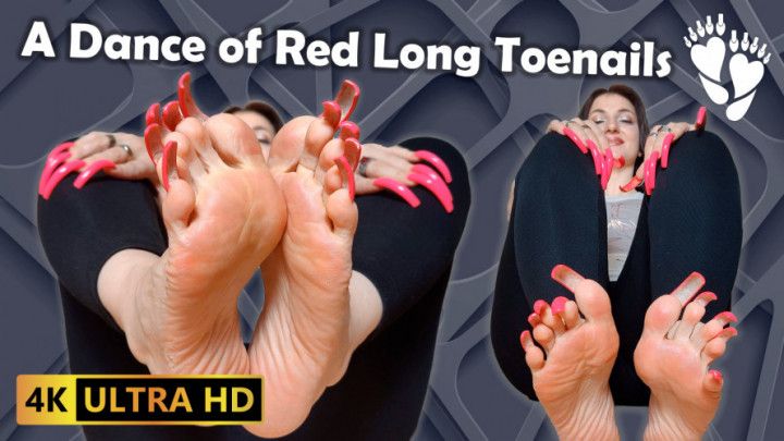 Nail Rhythm: A Dance of Red Long Toenails &amp; Tapping