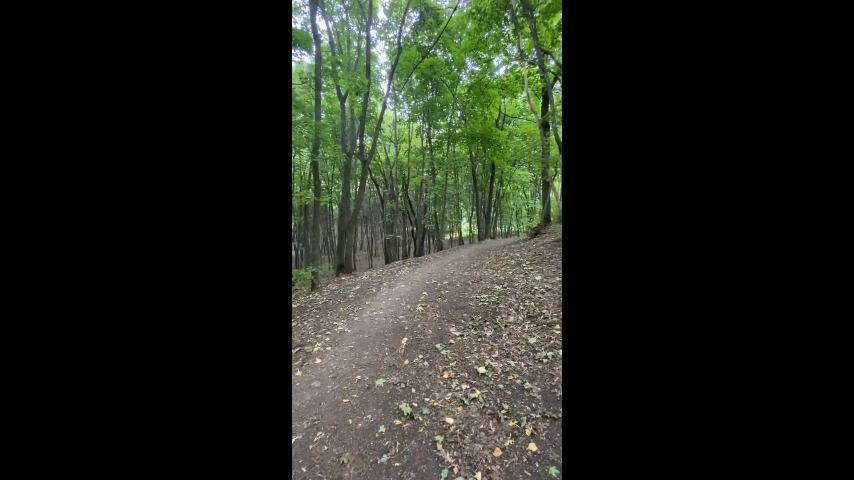 Walking through the forest