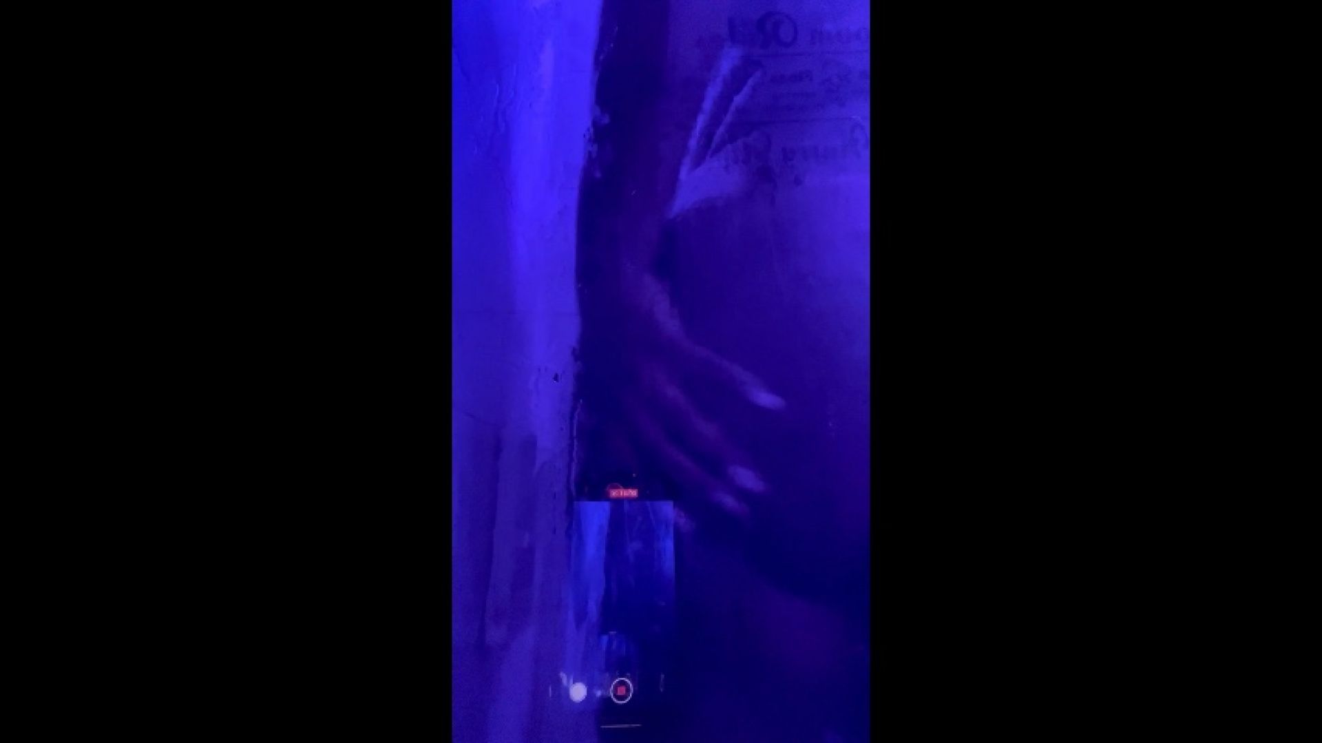 Video screenshot