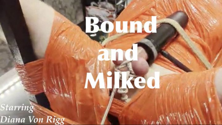 Bound and Milked