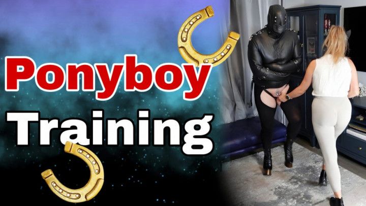 Femdom Pony Boy Training! BDSM Mistress Humiliation Bondage