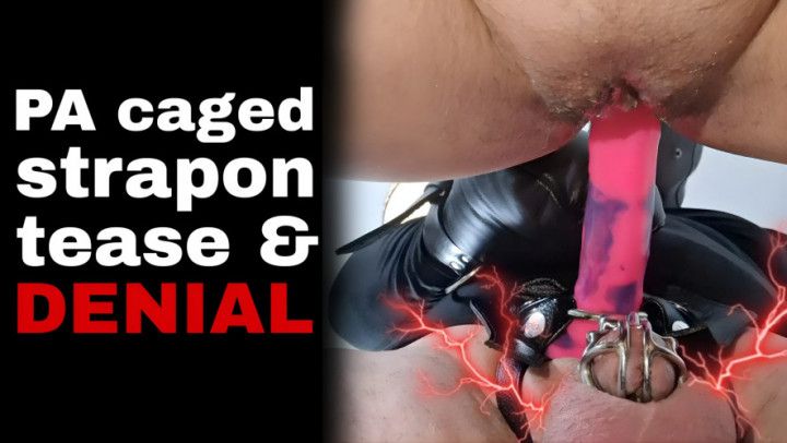 Femdom Strapon Sex Chastity Cage Device