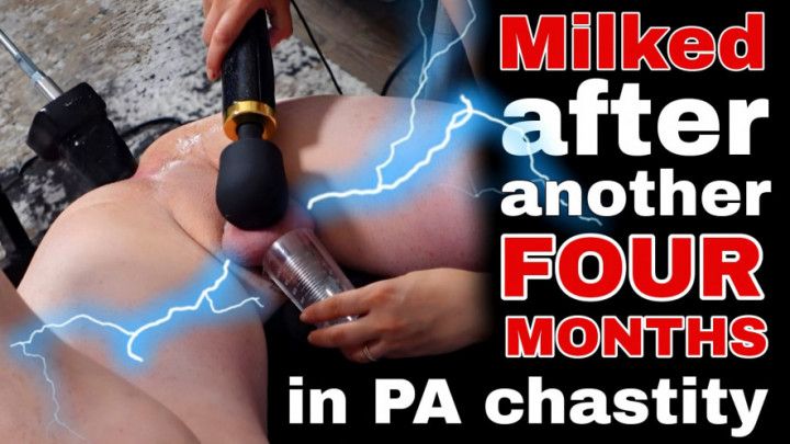 Milked After Another 4 Months in PA Chastity Ruined Orgasm