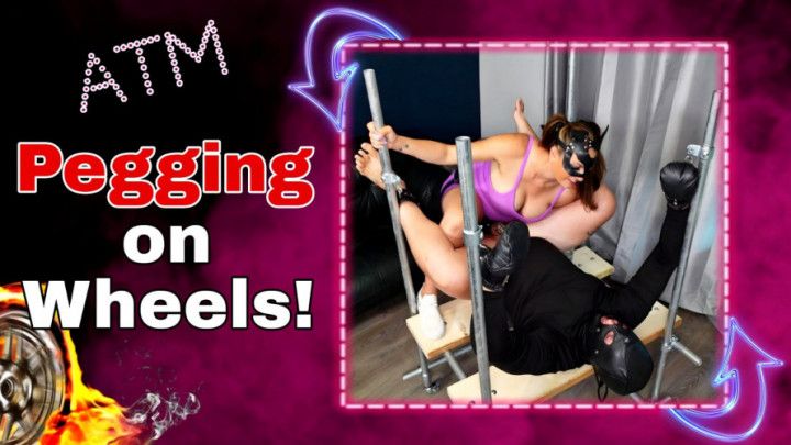 Pegging on Wheels! ATM Rough Hard Strap on Fuck in Bondage