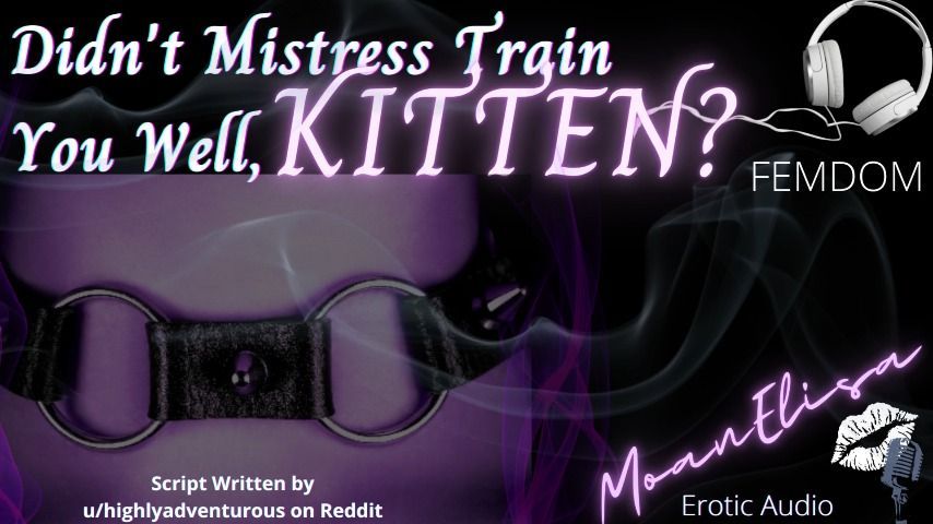 Didnt Mistress Train You Well, Kitten