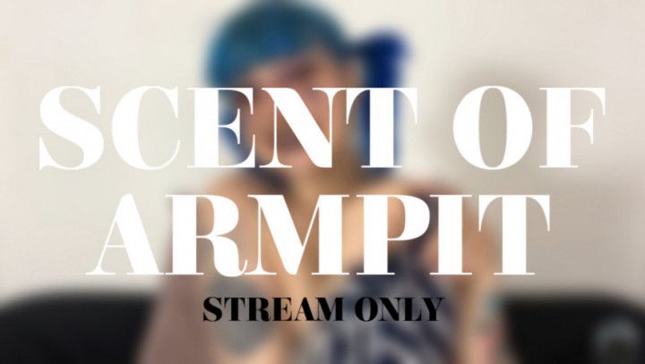 SCENT OF ARMPIT - STREAM ONLY