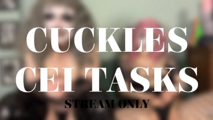 CUCKLES CEI TASKS - STREAM ONLY