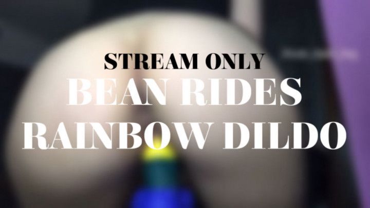 BEAN RIDES RAINBOW DILDO - STREAM ONLY