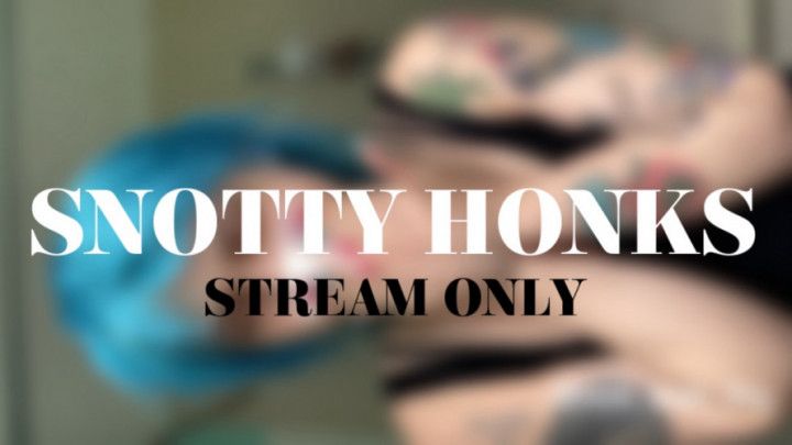 SNOTTY HONKS - STREAM ONLY