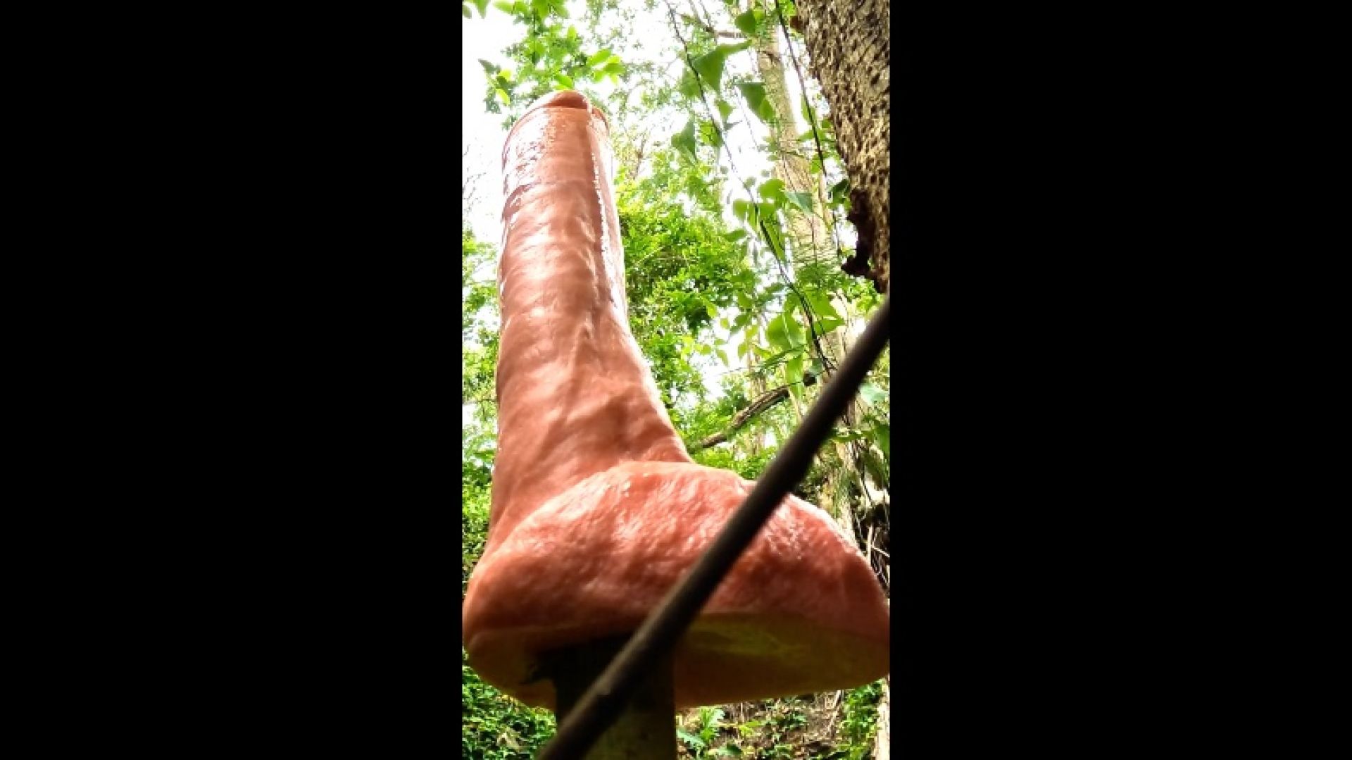 I FOUND A DILDO IN THE FOREST AND I PUT IT INTO MY TAIL