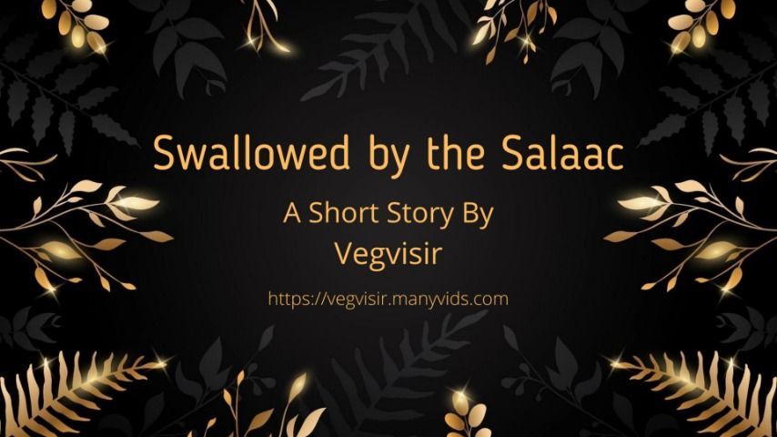 Swallowed by the Salaac