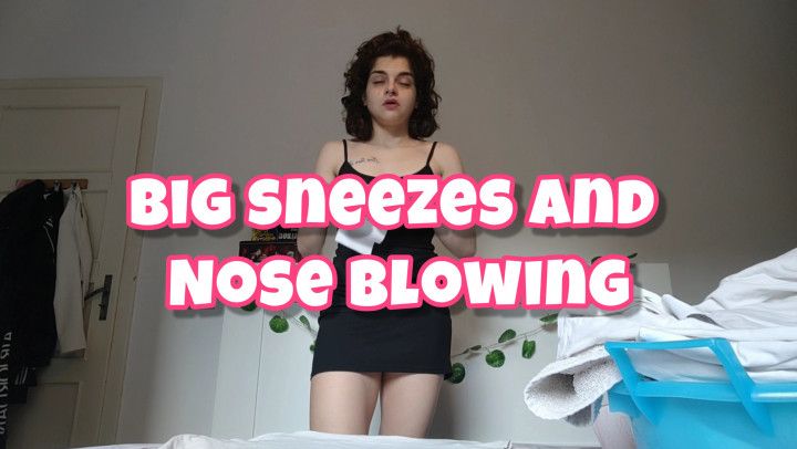 Sneezes Interrupts my Chores