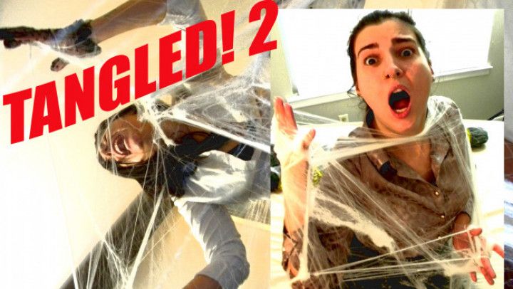 Tangled! 2 - More Tales of Entanglement