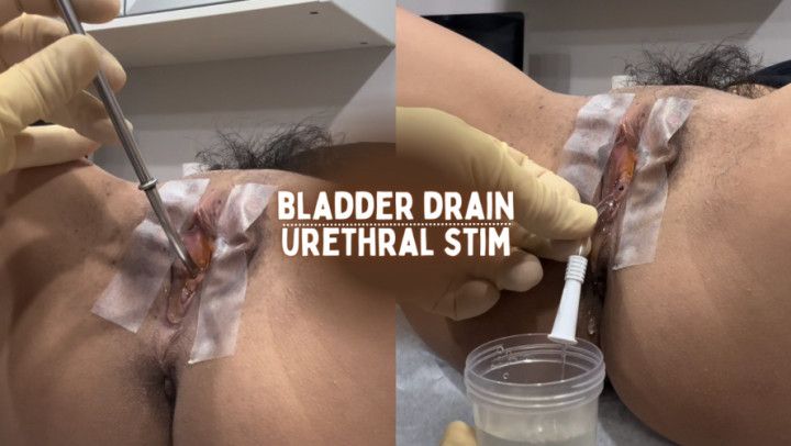 Bladder Drain &amp; Urethral Stim 1080p