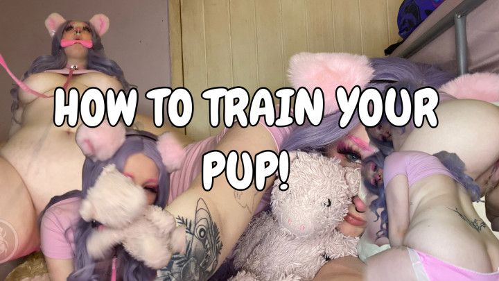 How To Train Your Pup