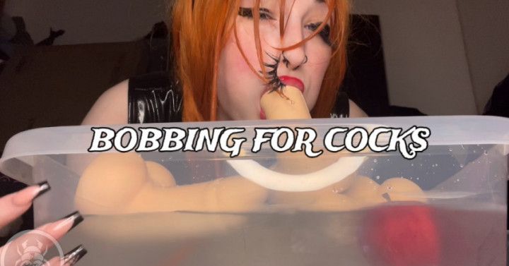 BOBBING FOR COCKS