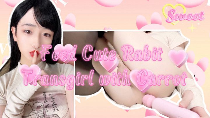 Feed Cute Rabit TSgirl with Your Carrot