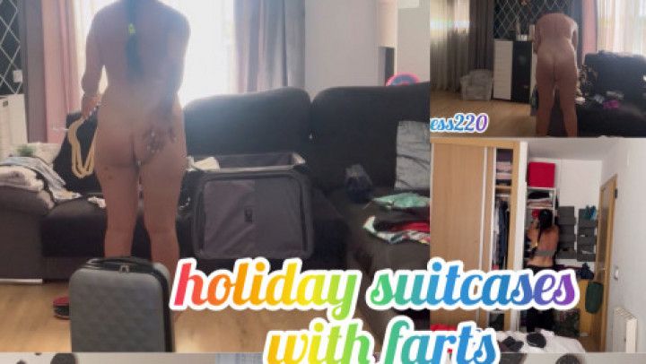 holiday suitcases with farts