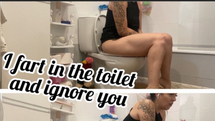 I fart in the toilet and ignore you