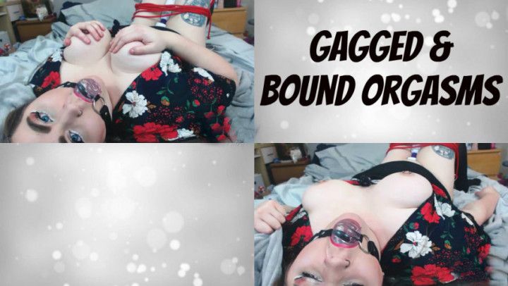 Gagged &amp; Bound Orgasms