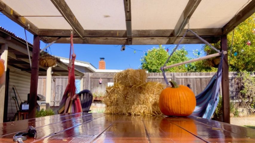 Topless Pumpkin Carving