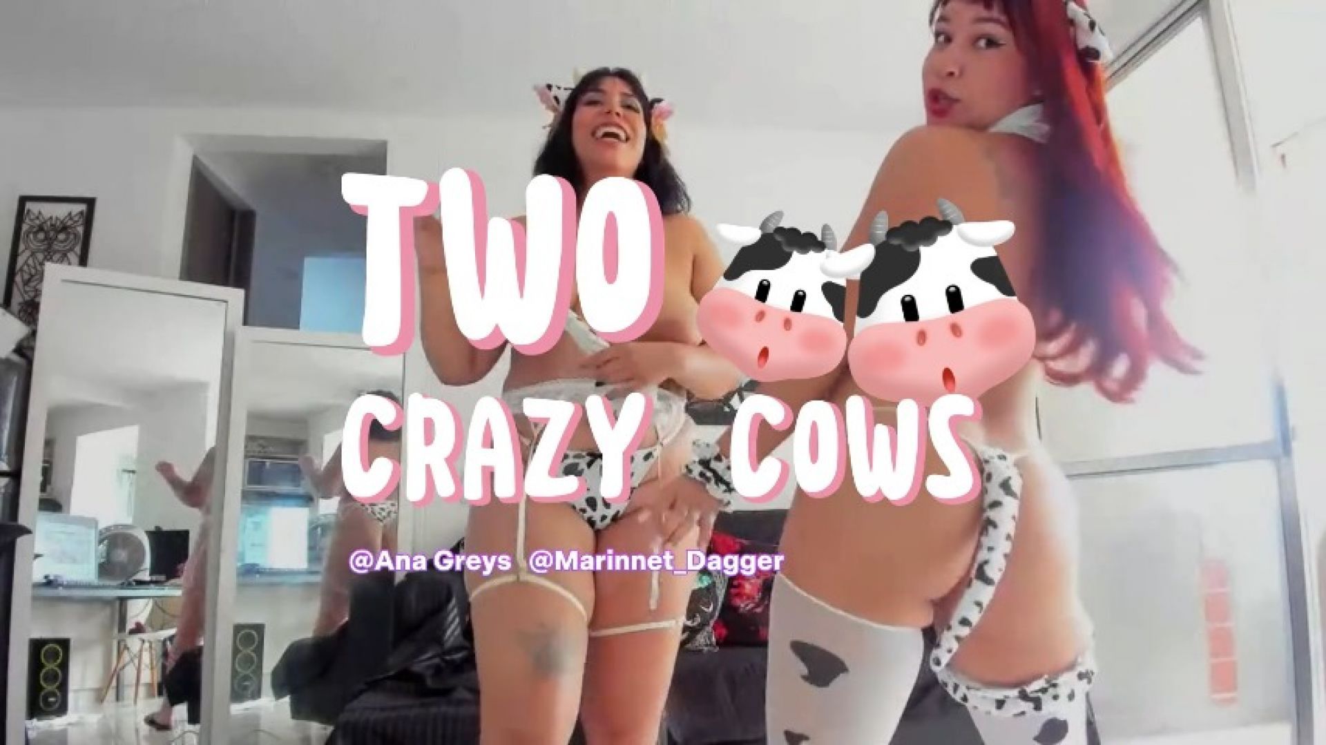 TWO CRAZY FRIENDS: Two crazy cows