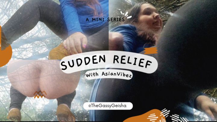 Sudden Relief: A Series