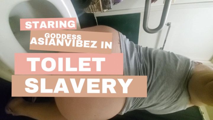 Toilet Slavery