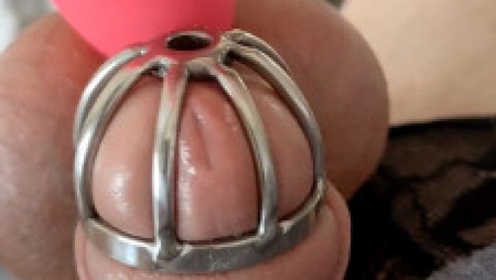 Cum in Chastity