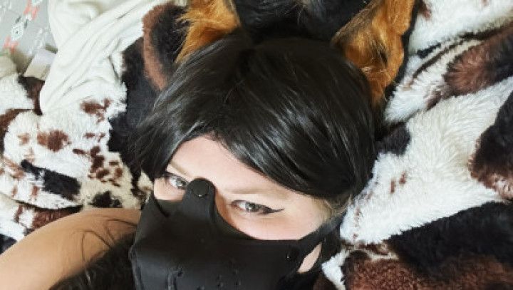 On Guard Petplay Vore POV