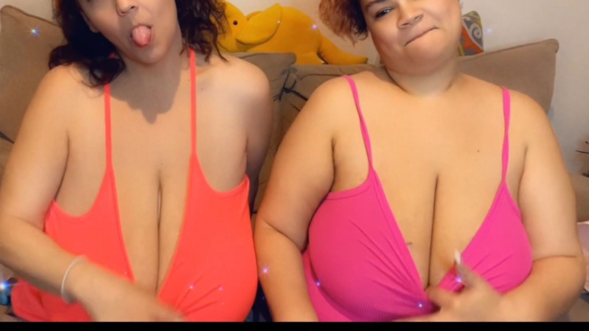 BBW Busom Buddies