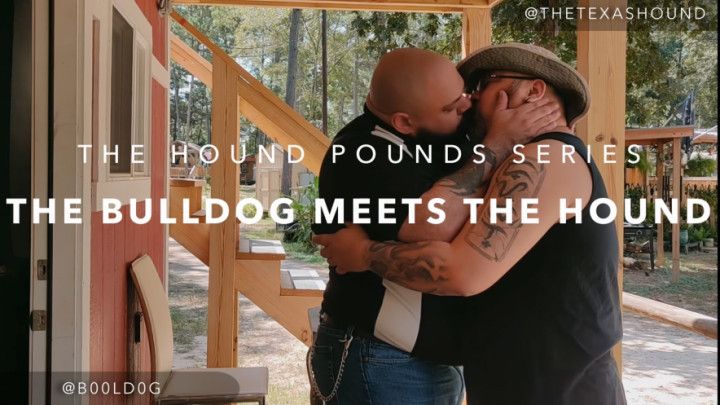 The Bulldog Meets The Hound