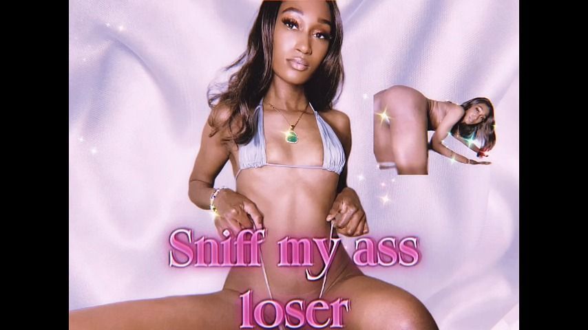 sniff my ass, loser