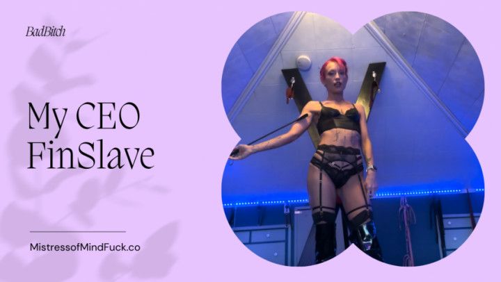 You are my CEO FinSlave