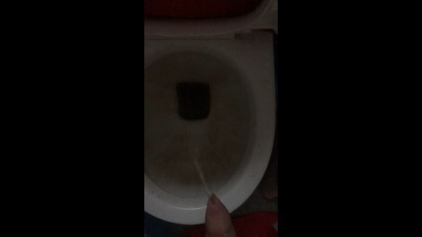 Peeing in Dirty Toilet