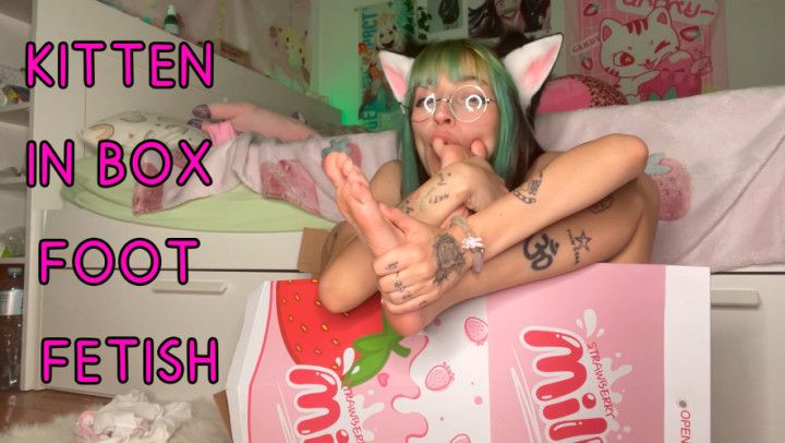 PETPLAY KITTEN IN BOX LICK FEET