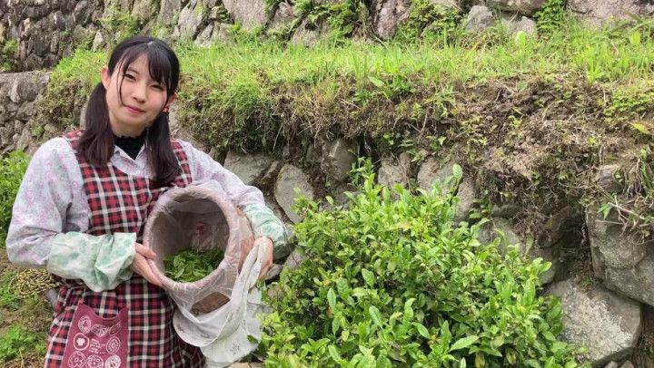 mako Making Japanese tea