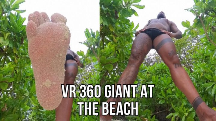 360 VR giant at the beach - Lalo Cortez