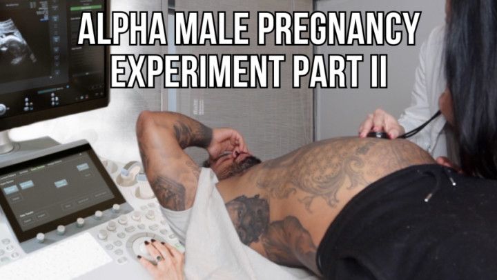 Alpha male pregnancy experiment part II - Lalo Cortez