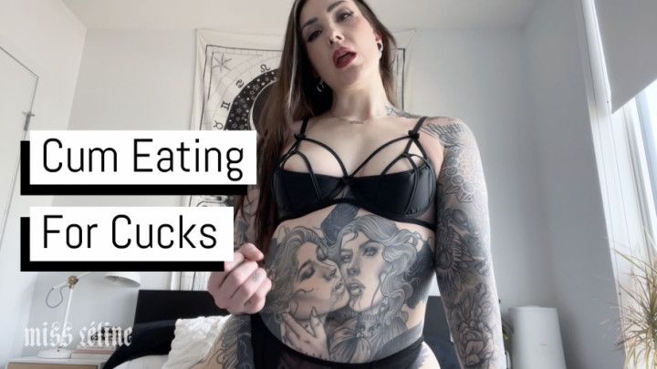 Cum Eating For Cucks | FemDom JOI &amp; CEI