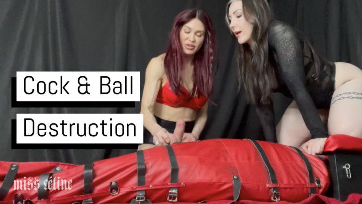 Cock &amp; Ball Destruction | Double Domme Bondage Ballbusting